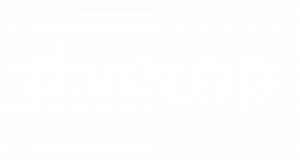 Logo d.velop AG weiß